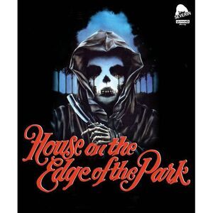 House On The Edge Of The Park